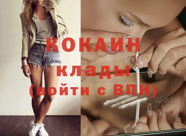 твердый Кодинск