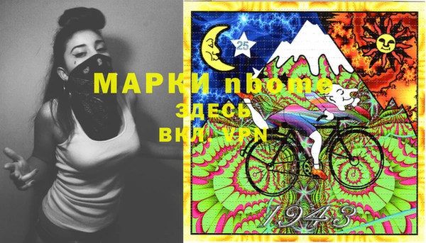 дмт Щигры