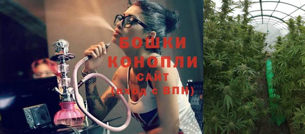 дурь Козельск