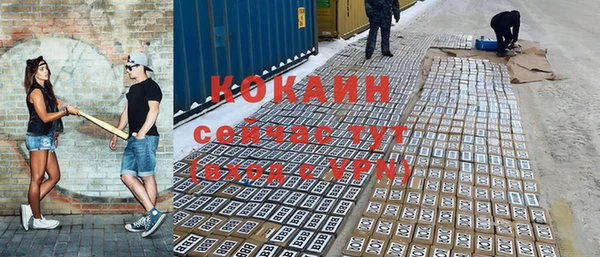 твердый Кодинск